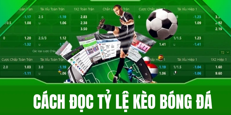 Hướng dẫn cách đọc tỷ lệ kèo chuẩn nhất