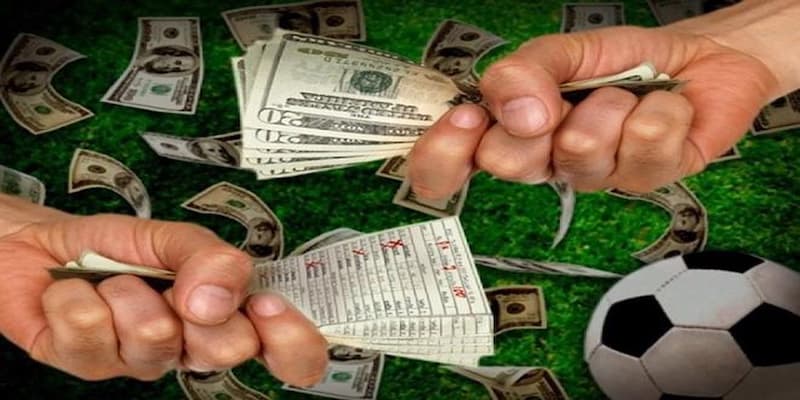 Tại sao cần theo dõi nhận định bóng đá hôm nay?
