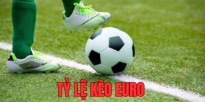 Tìm hiểu bản chất tỷ lệ kèo Euro