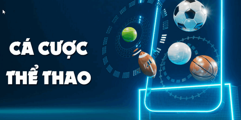 Giới thiệu tỷ lệ cá cược bóng đá