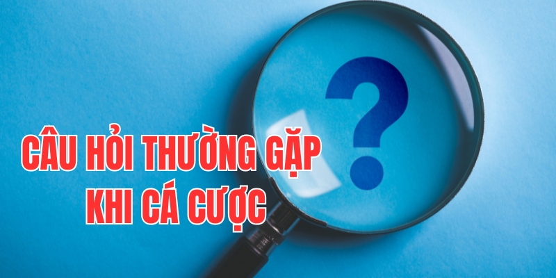 Vì sao cần tổng hợp các câu hỏi thường gặp?